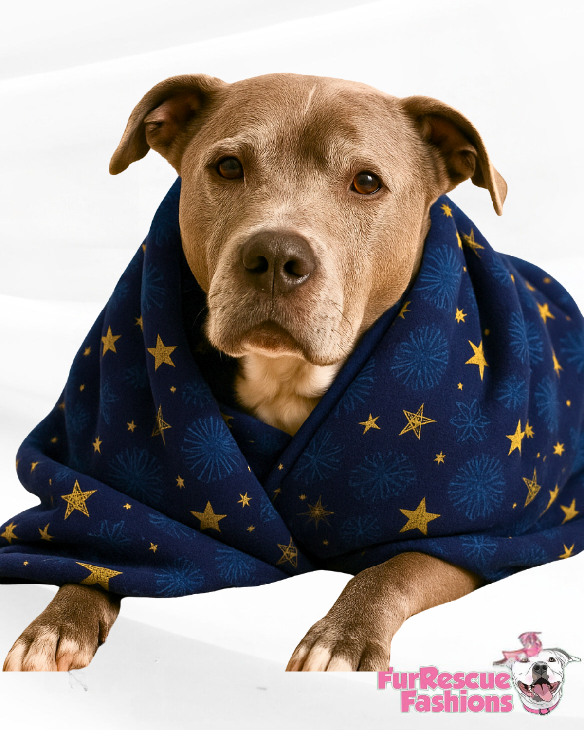 2025 Winter Wonders Fleece Throw Blanket (Choose your print)