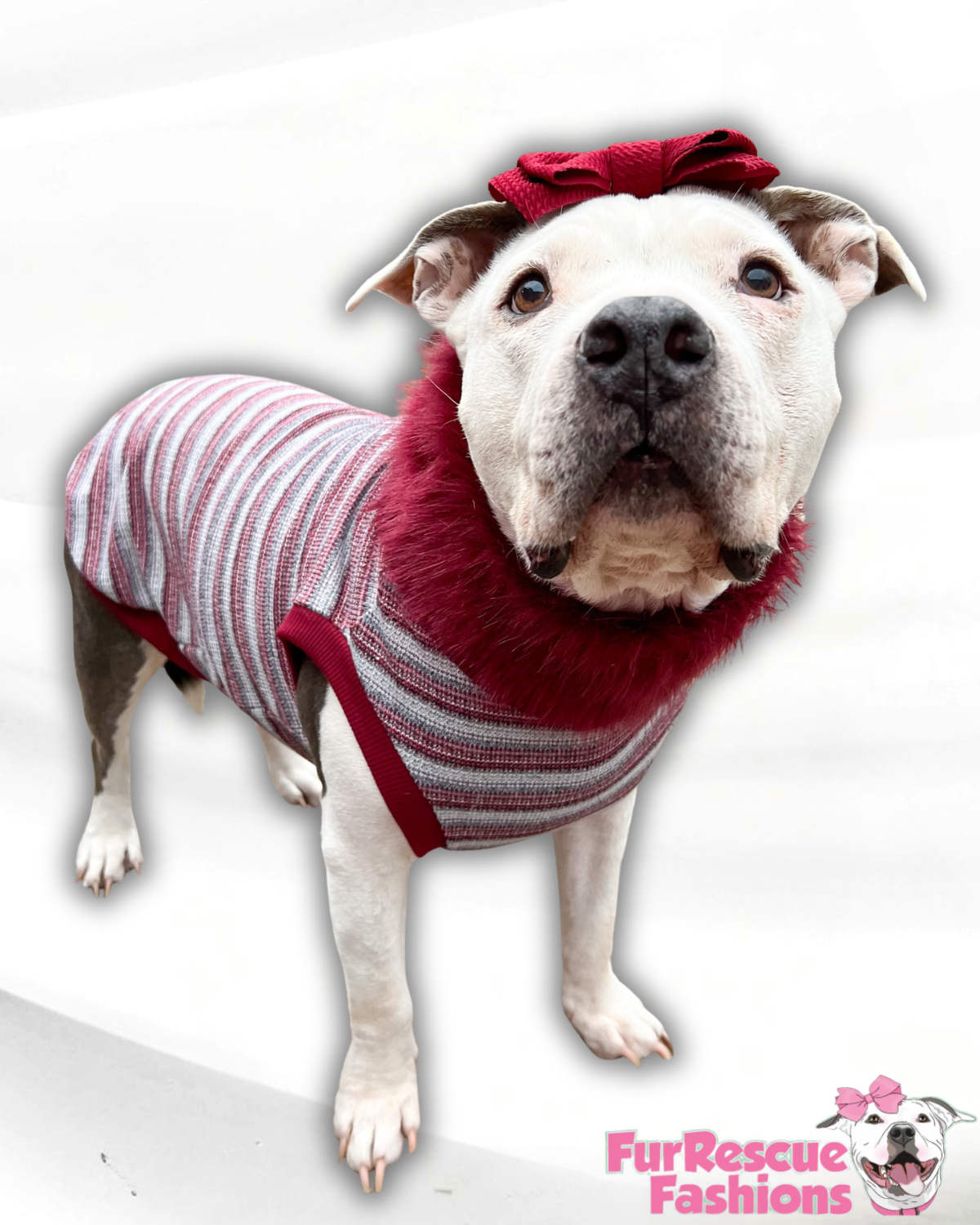 Cranberry Cozy Knit