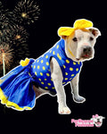 Festive Polka Dot Dog Tutu Dress - blue & yellow