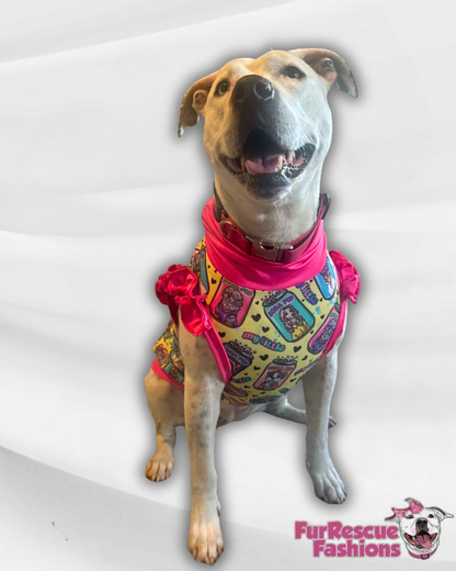 2026 Spring Dog Shirt With Ruffles (AVAILABLE IN ANY PRE-ORDER PATTERN)