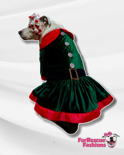 Green Velvety Elven Holidays Dog Dress