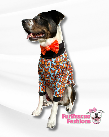 Monarch Butterflies Dog Pajama with Black Neck & Trim/Sleeves