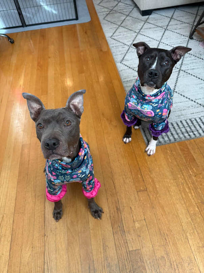 2026 Spring Dog Shirt With Ruffles (AVAILABLE IN ANY PRE-ORDER PATTERN)