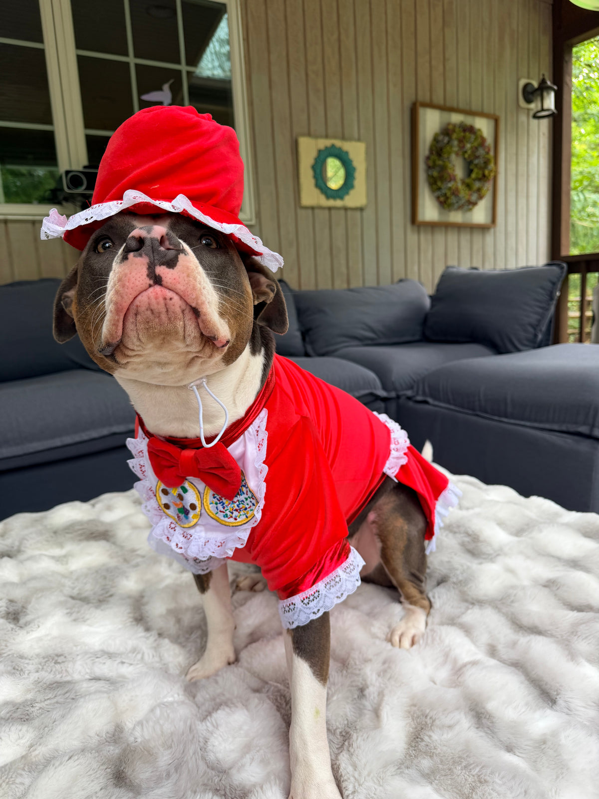 Santa’s Cookie Crew — Ultra-Luxe Dog Dress & Baker’s Hat