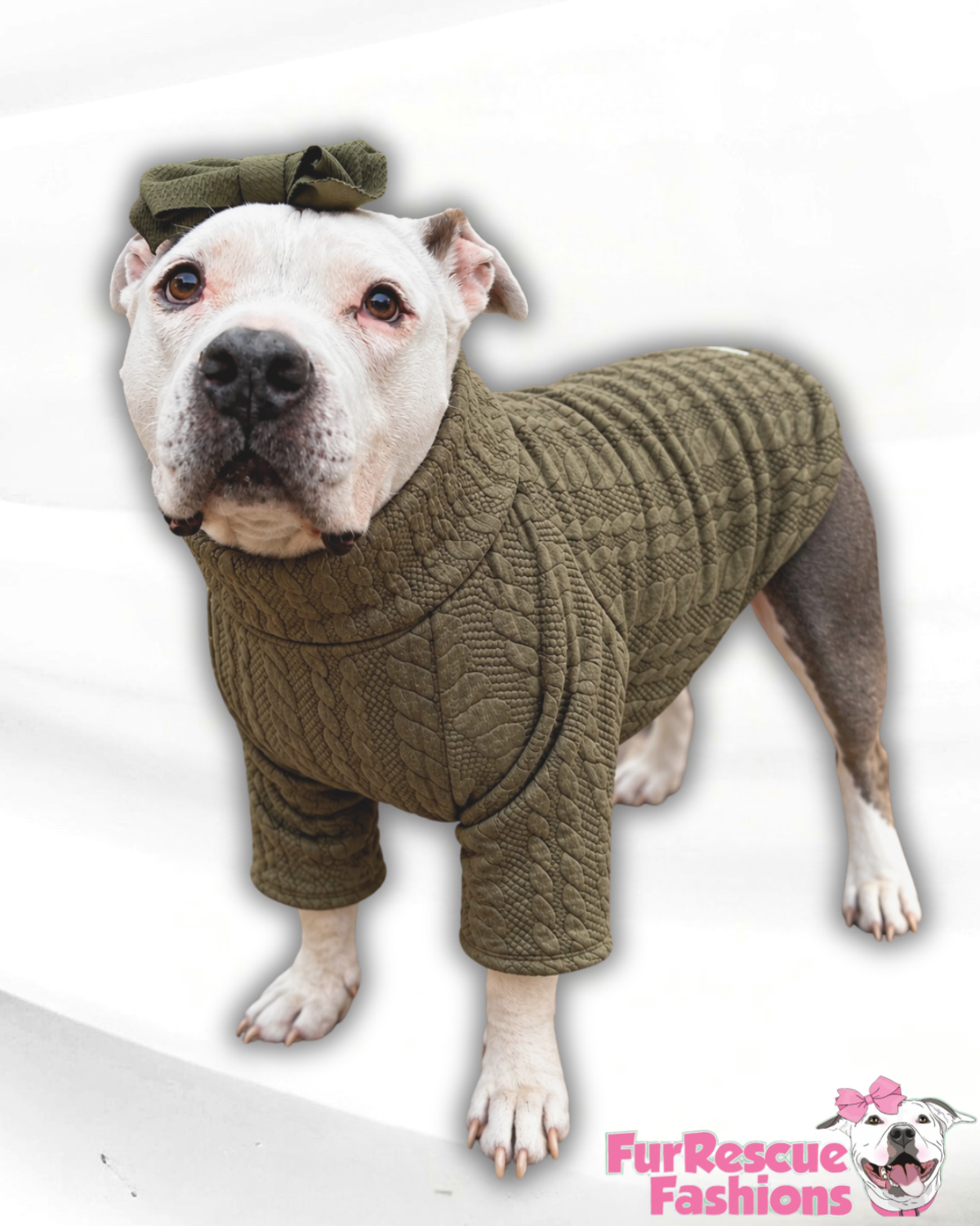 Olive Cable Knit Dog Shirt