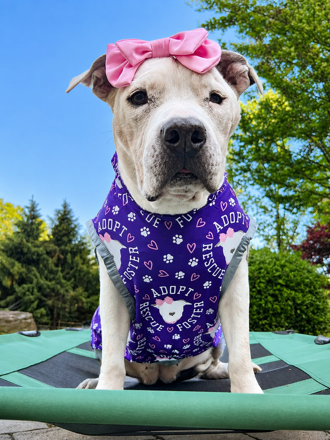 Rescue, Foster Adopt Purple - Dog Pajama with Silver or Pink Neck & Trim/Sleeves