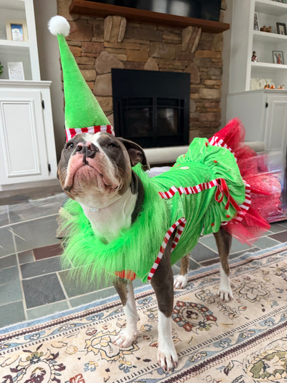 Merry Little Mischief Couture Christmas Dog Dress & Hat