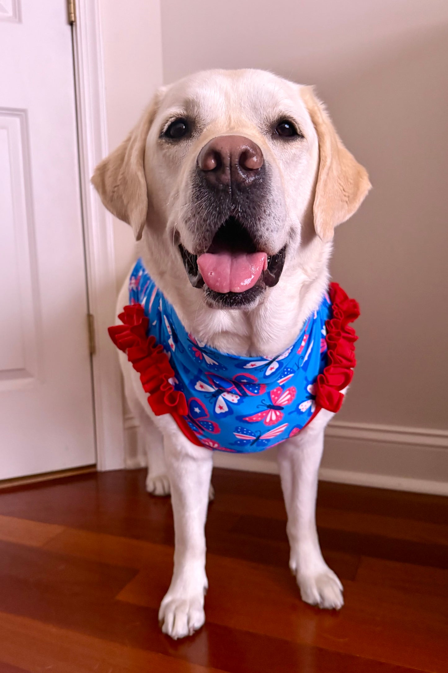Patriotic Butterflies - Dog Pajama with Red Neck & Trim/Sleeves