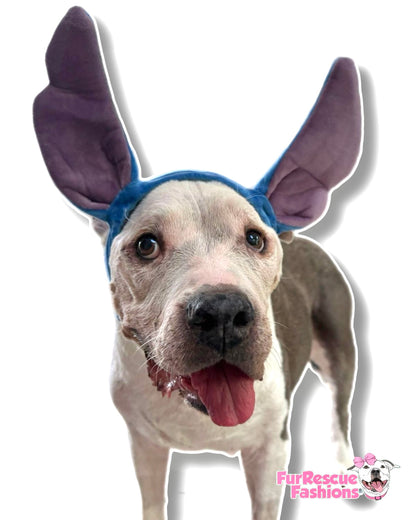 Stitch Headband