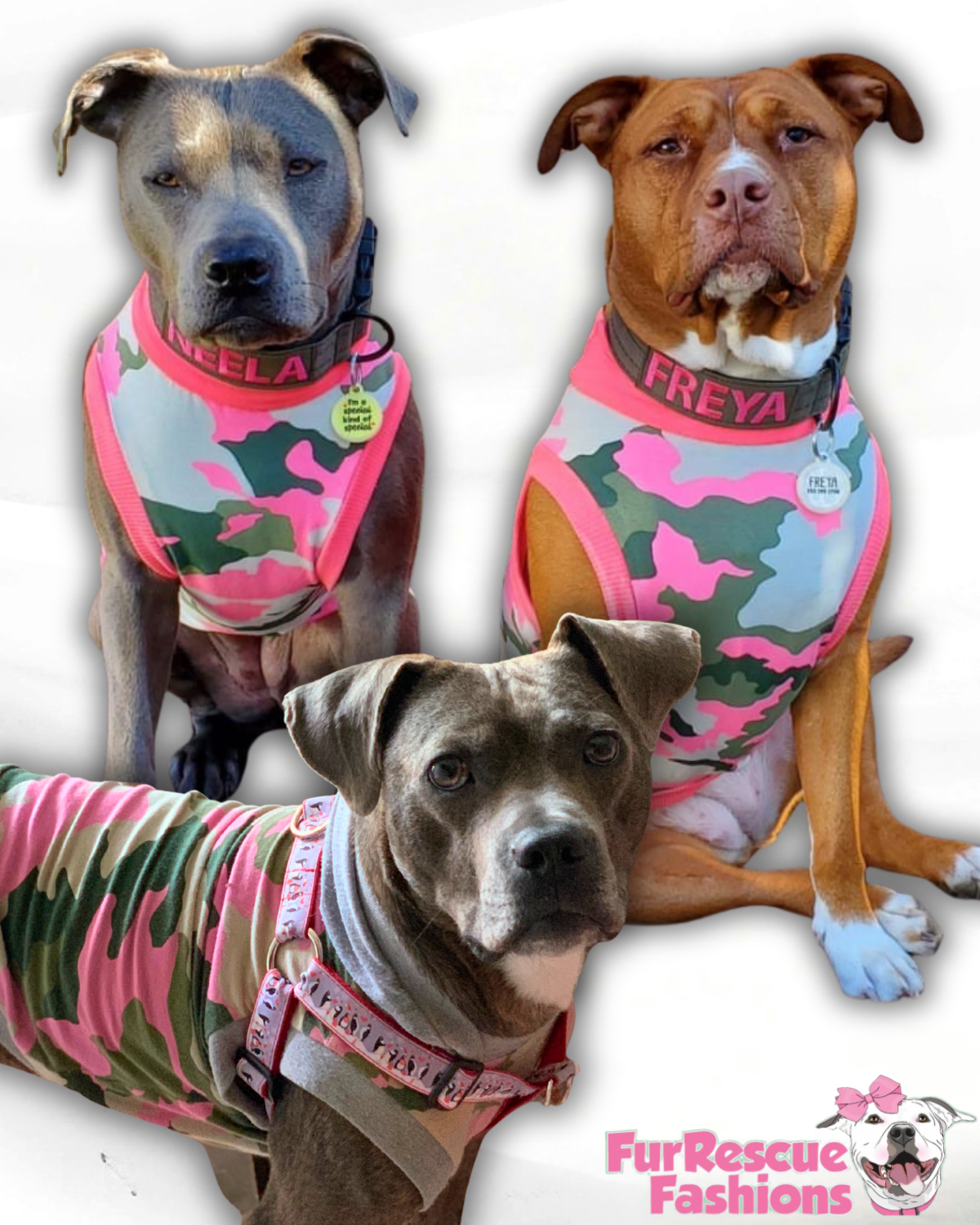 Cotton Candy Camo Dog Shirt/Dress/4-Legged PAWjama (Classic Fabric) (Copy)