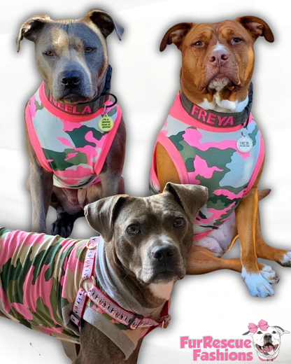 Cotton Candy Camo Dog Shirt/Dress/4-Legged PAWjama (Classic Fabric) (Copy)