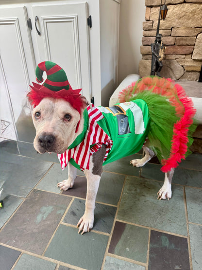 Elf Squad Dog Dress