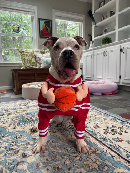 Basketball MVP Dog Costume