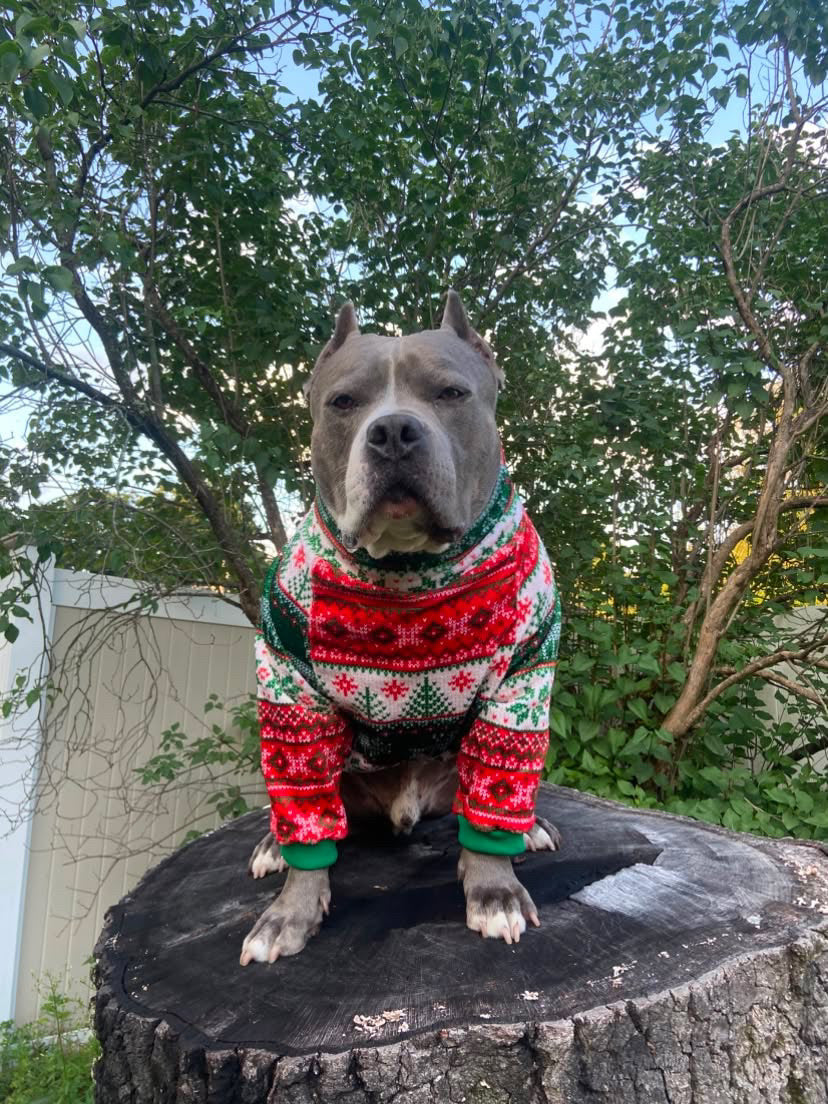 Cozy Christmas Knit Fair Isle - Dog Pajama with Green Neck & Trim/Sleeves