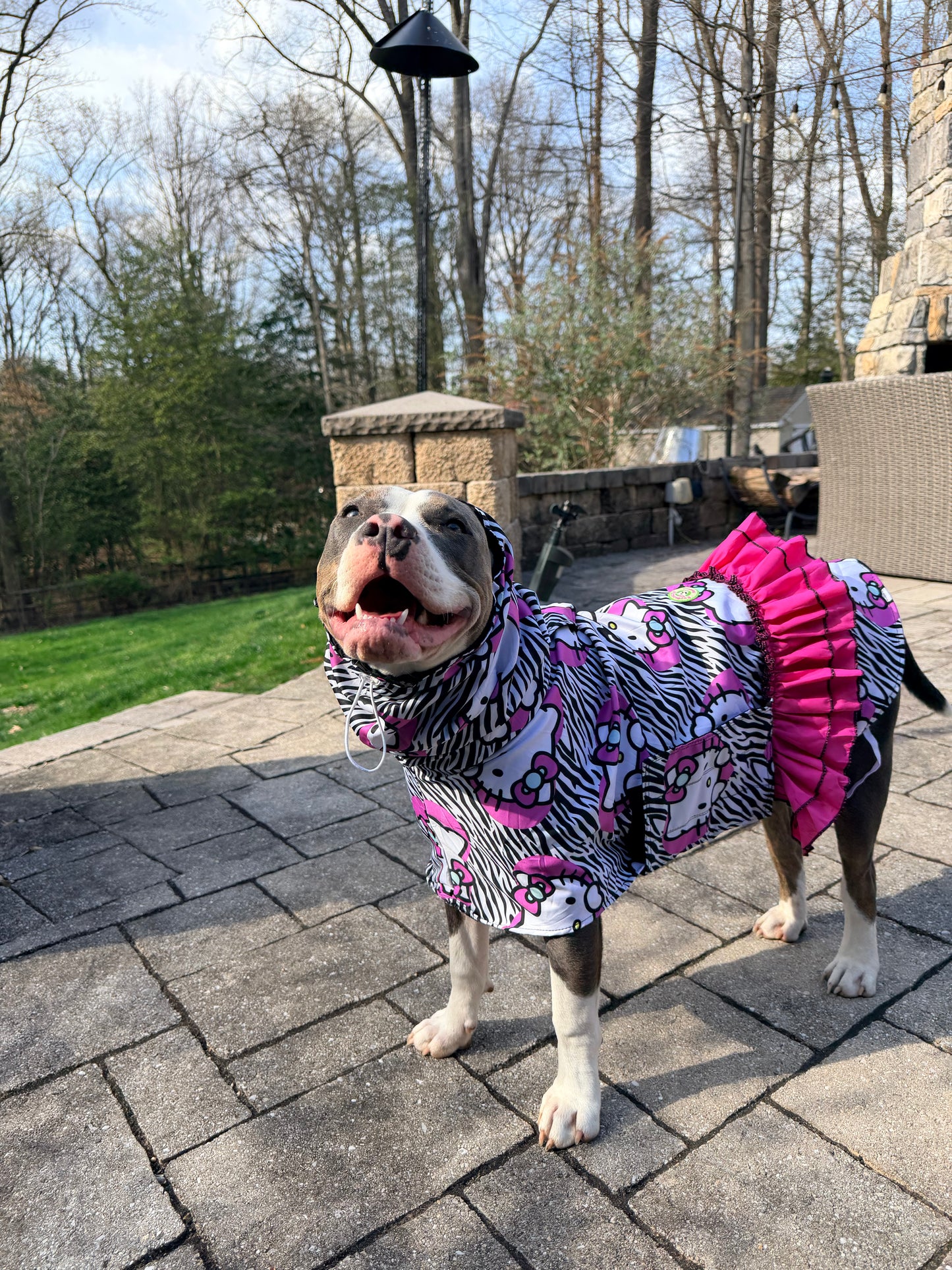 Pink Kitty Purr-fection Zebra Rain Jacket - Cape - Vest