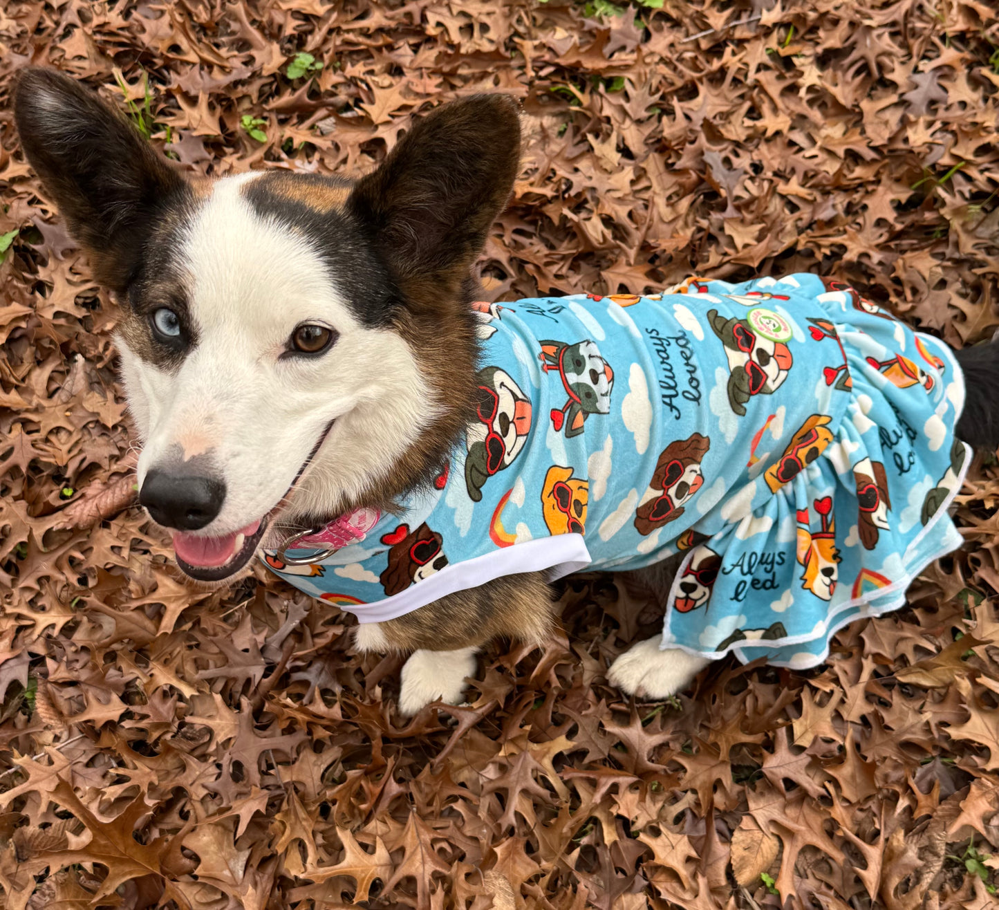 My Fur-Ever Valentine Dog Dress With Ruffle / With Sleeves or Sleeveless (Available in any pattern)