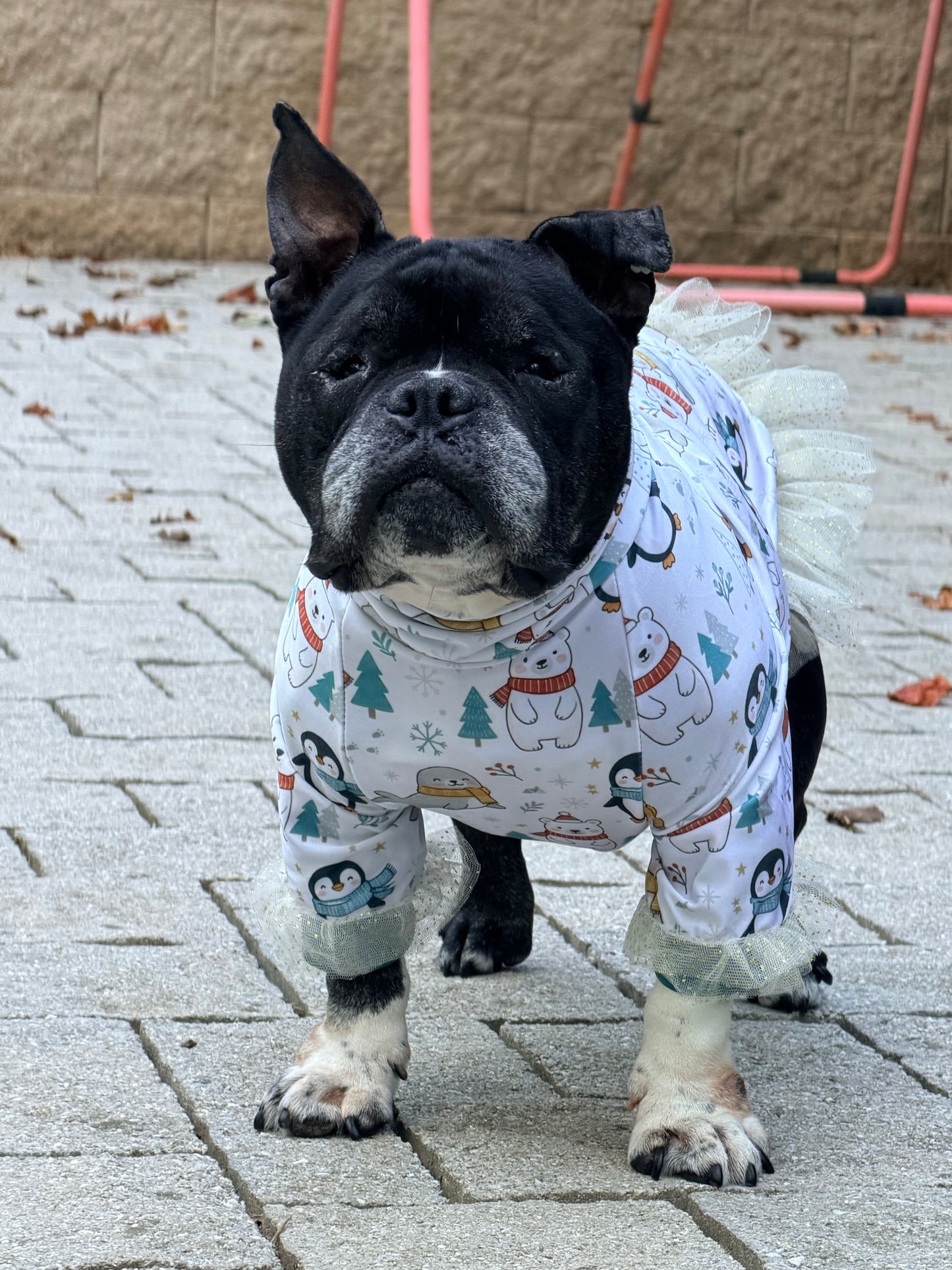 Arctic Winter Friends - Dog Pajama with Green Neck & Trim/Sleeves