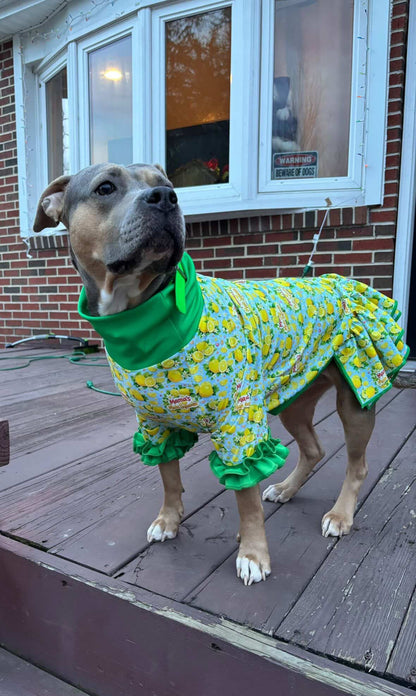Mama’s Main Squeeze with Green Neck & Trim/Sleeves