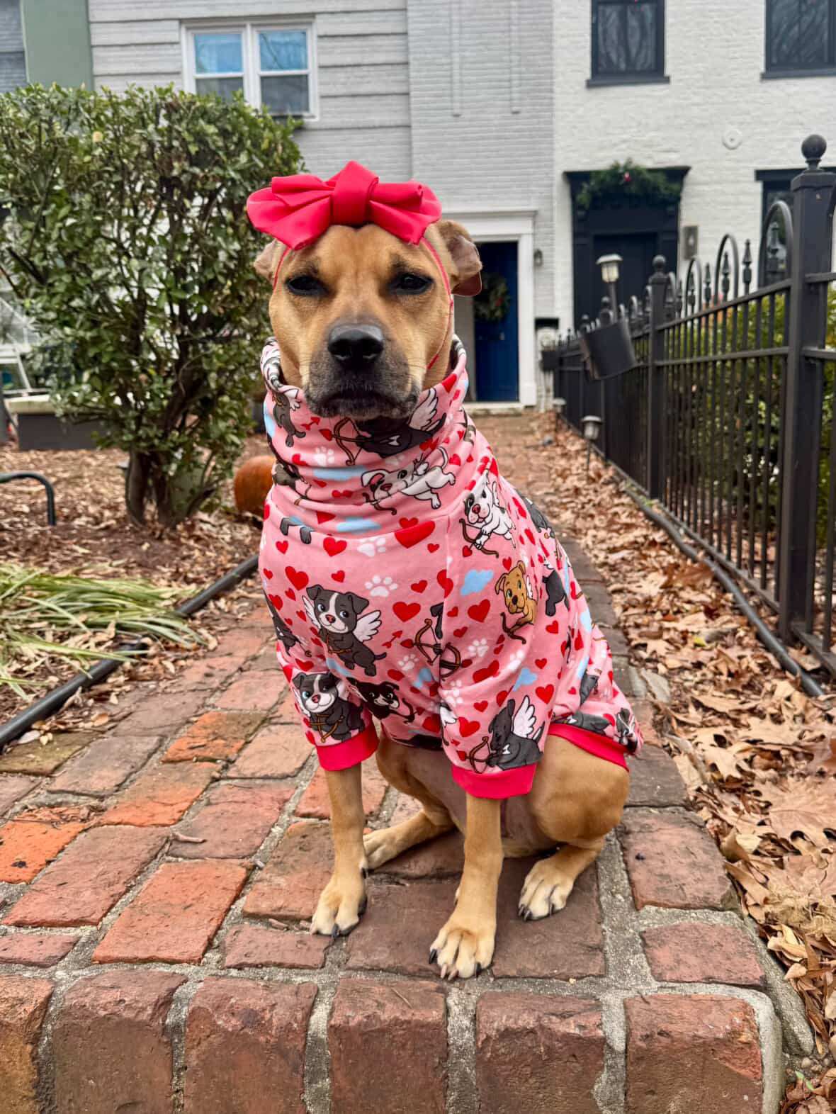 Cupids of Love Dog Pajama with Red Neck & Trim/Sleeves