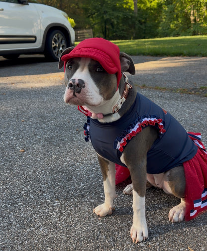 Red Waterproof Dog Hat
