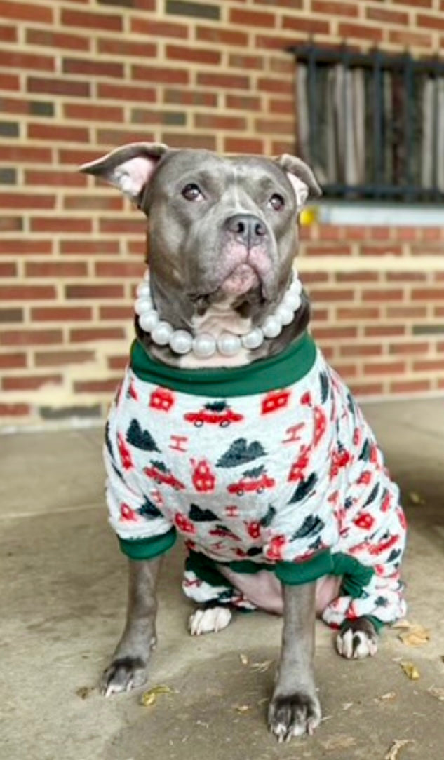 'Tis The Season - Dog Pajama with Green Neck & Trim/Sleeves