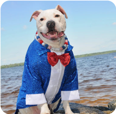 Fancy Sparkling Dog Tail Tuxedo