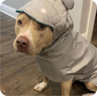 Hippo Rain Jacket