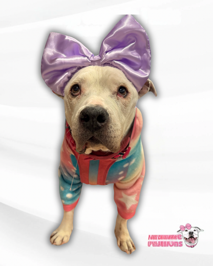 Oversized Coquette Satin Dog Bow