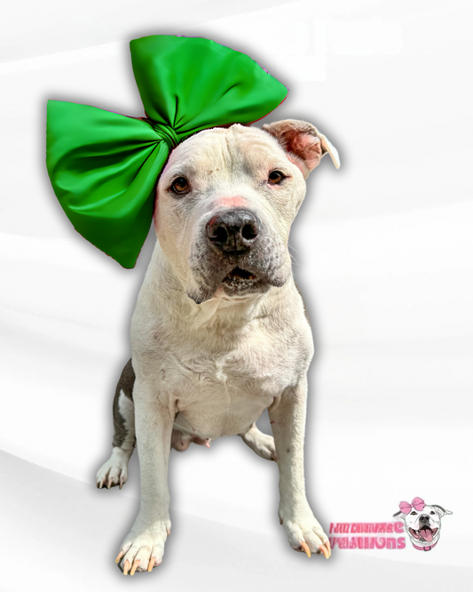 Oversized Coquette Satin Dog Bow