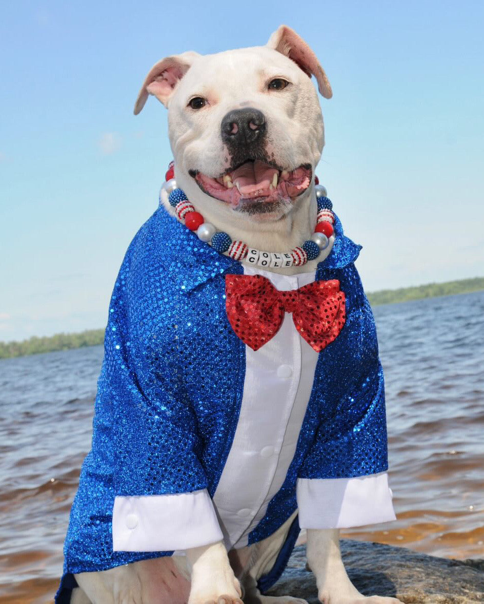 Fancy Sparkling Dog Tail Tuxedo