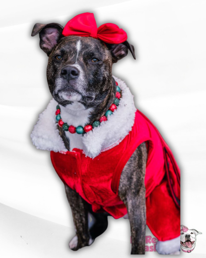 Mrs. Claus Dress with Velcro Closure