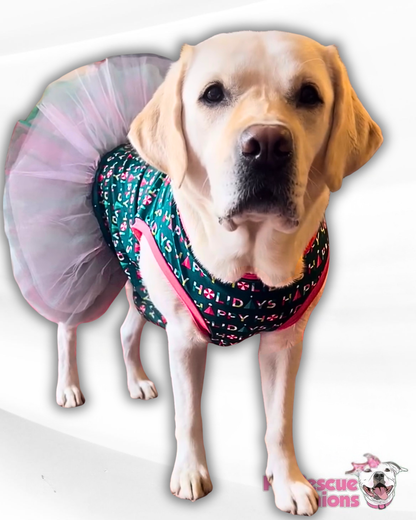 Happy Holidays Dog Tutu Dress