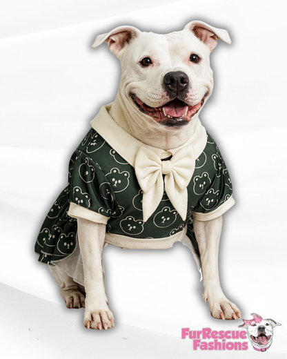 Beary Dapper Ruffle Dog Dress