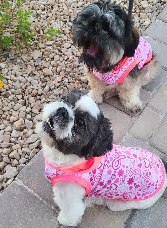Breast Cancer Awareness Dog Pajama With Fuchsia Trim