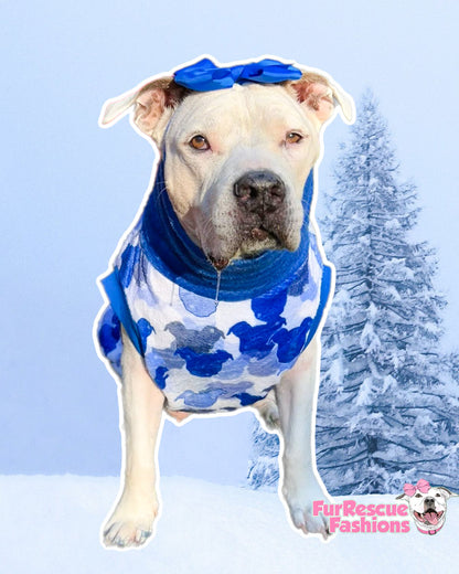 Pittie Snow - PAWjama with Royal Blue Neck & Trim/Sleeves