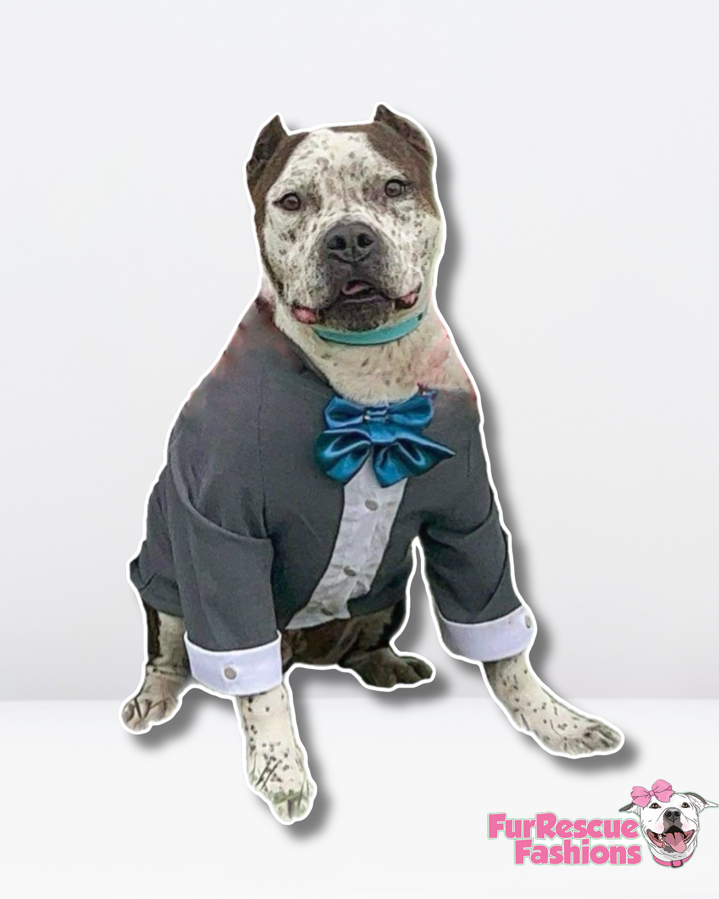 Custom Dog Tuxedo