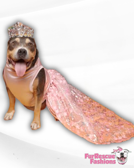 Golden Flower Girl Dog Gown WITH Attachable Train
