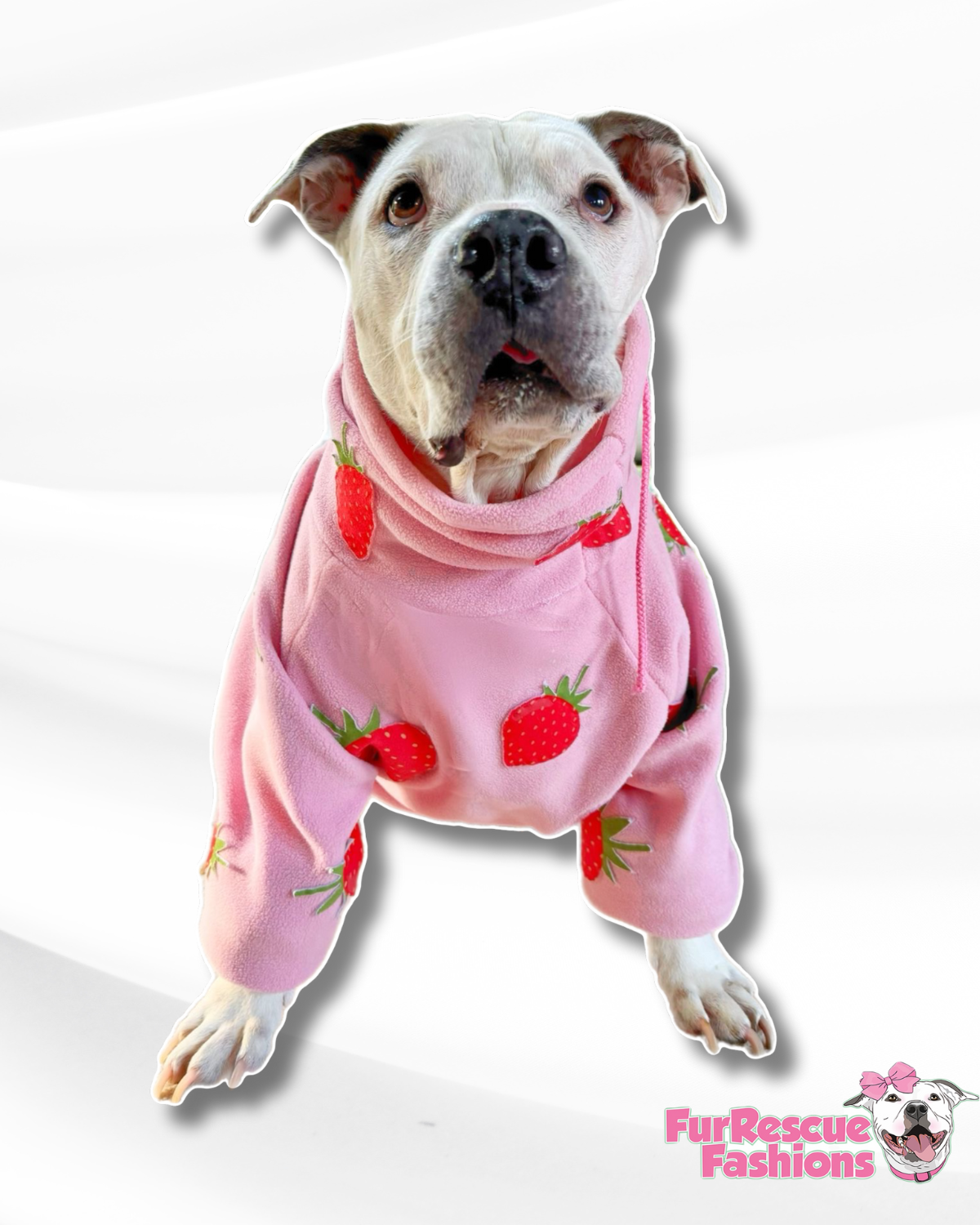 StrawBerry Bliss Dog Pullover (Made to order)