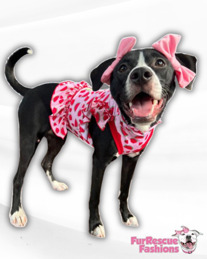Doggie Double Bow Headband