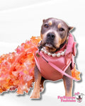 Gala Dog Gowns WITH Attachable Train