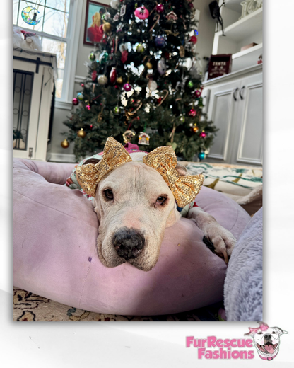 Festive Gold & Red Doggie Double Bow Headbands