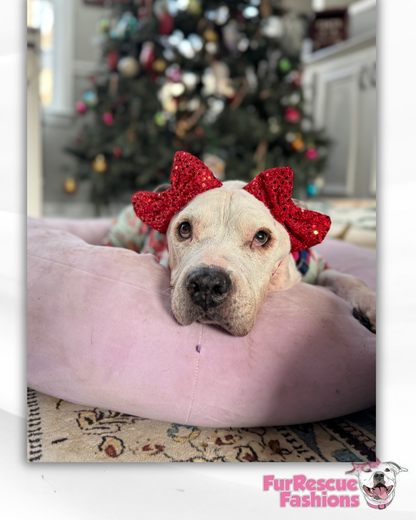 Festive Gold & Red Doggie Double Bow Headbands