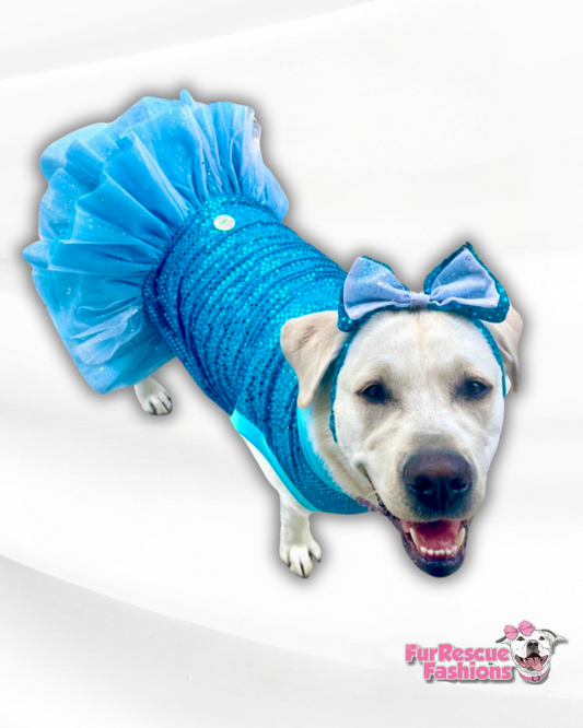 Sparkle and Shine Dog Tutu Dress