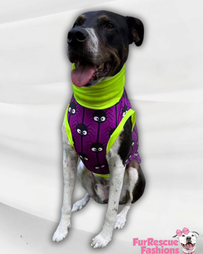 Legs For Days - Dog Pajama with Orange Neck & Trim/Sleeves