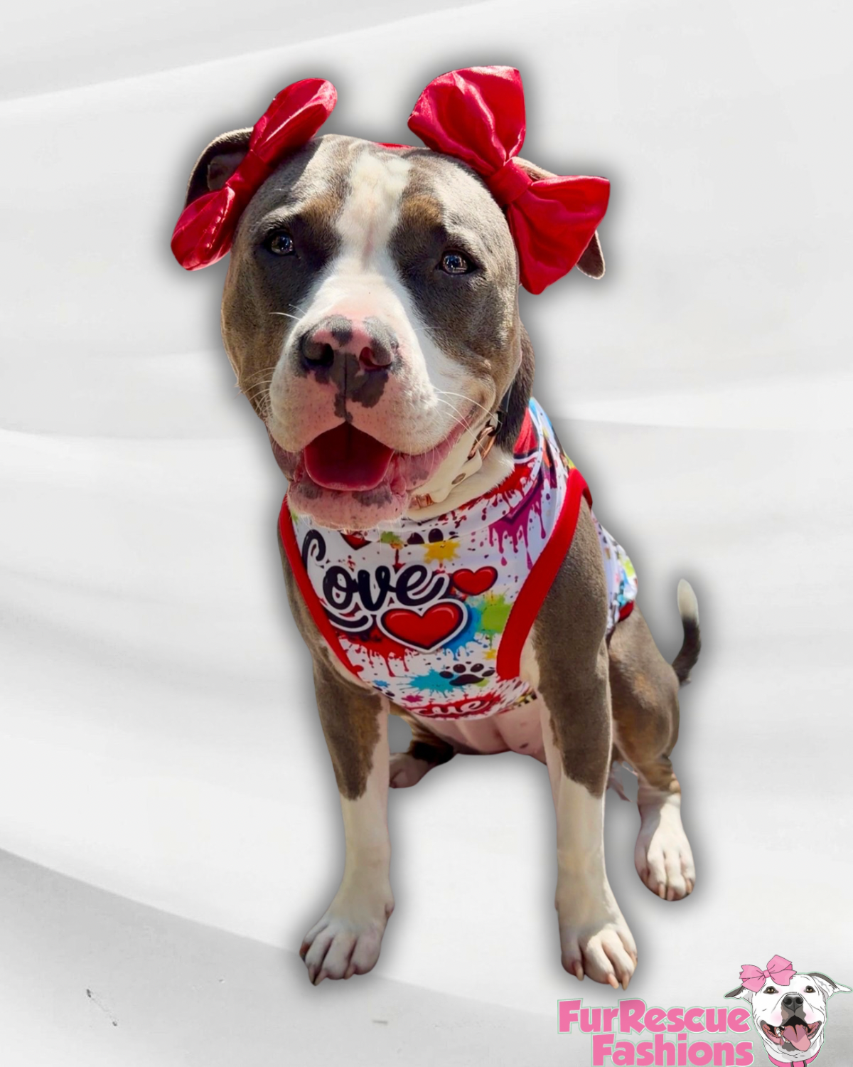 Rescue Love Street Graffiti Art  - Dog Pajama with Red Neck & Trim/Sleeves