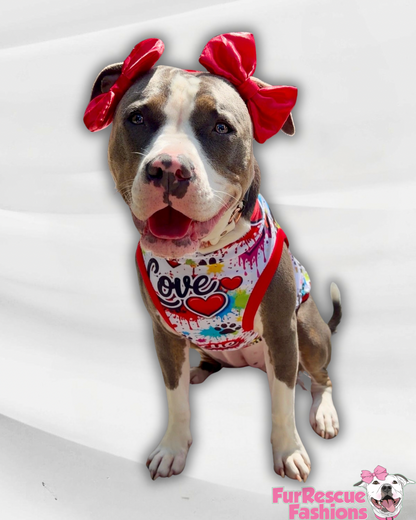 Rescue Love Street Graffiti Art  - Dog Pajama with Red Neck & Trim/Sleeves