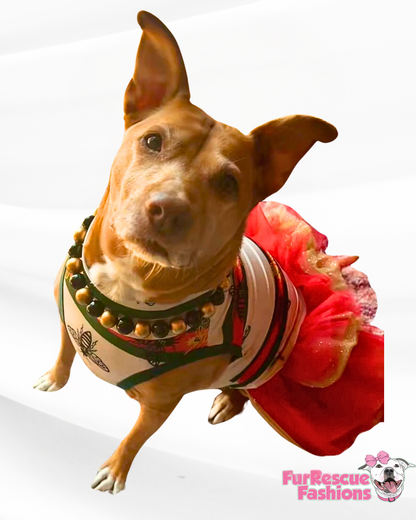 Paw-ucci Dog Tutu Dress