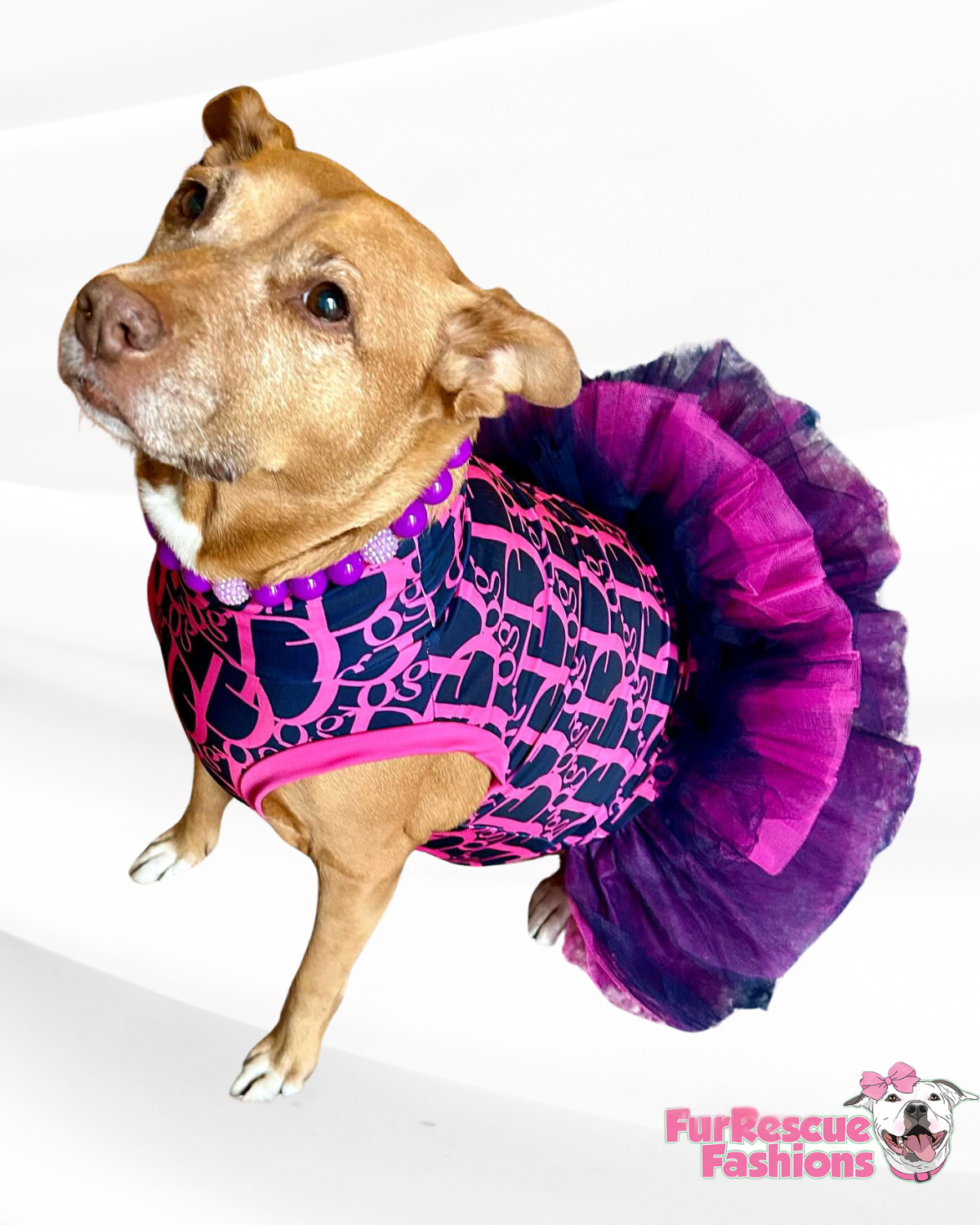 DOG Dog Tutu Dress