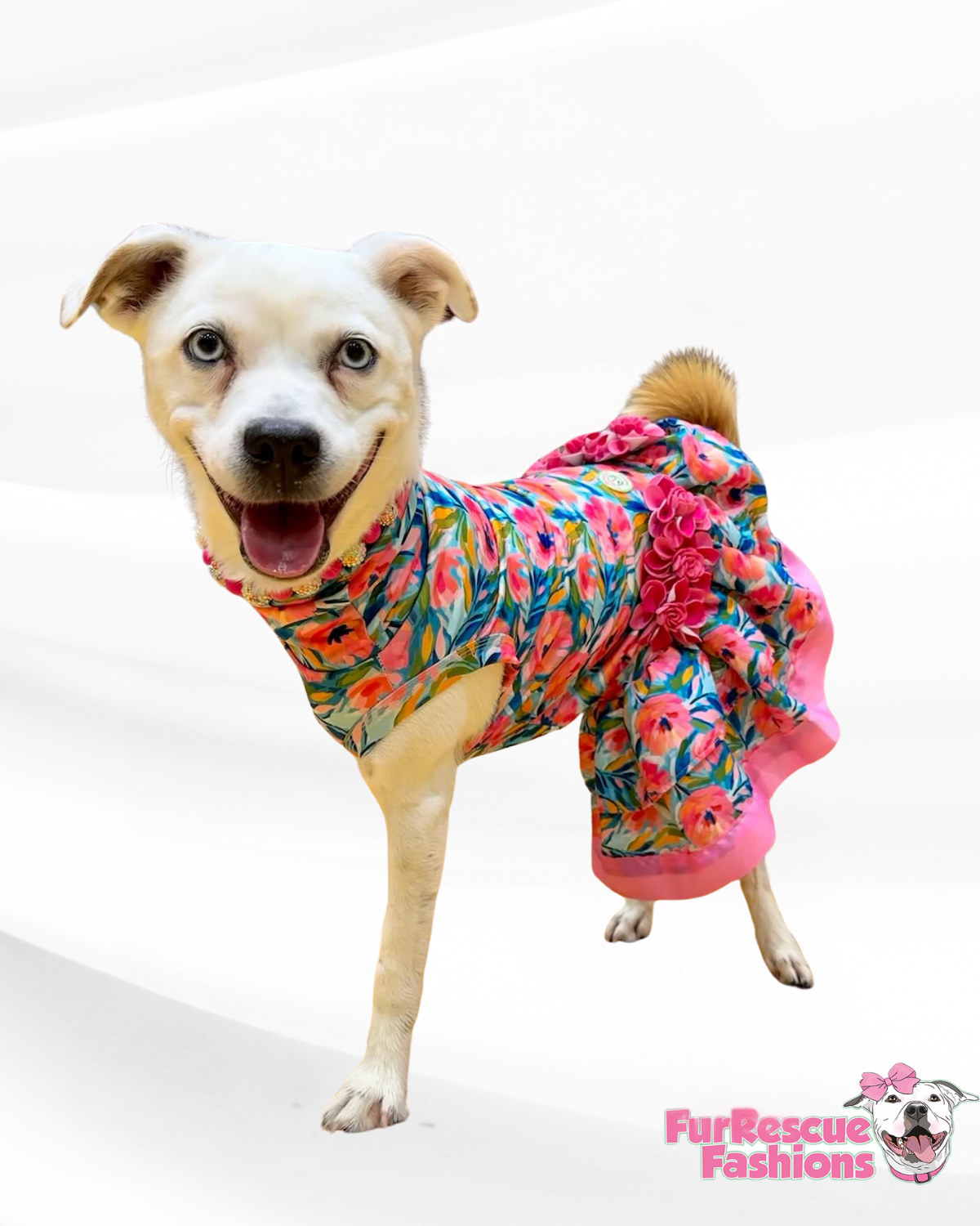 Floral Oaks Kentucky Derby Dog Dress