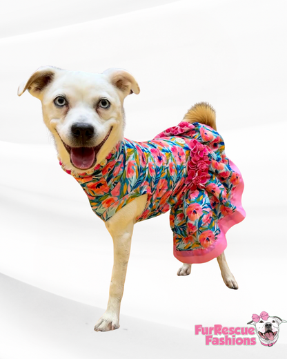 Floral Oaks Kentucky Derby Dog Dress